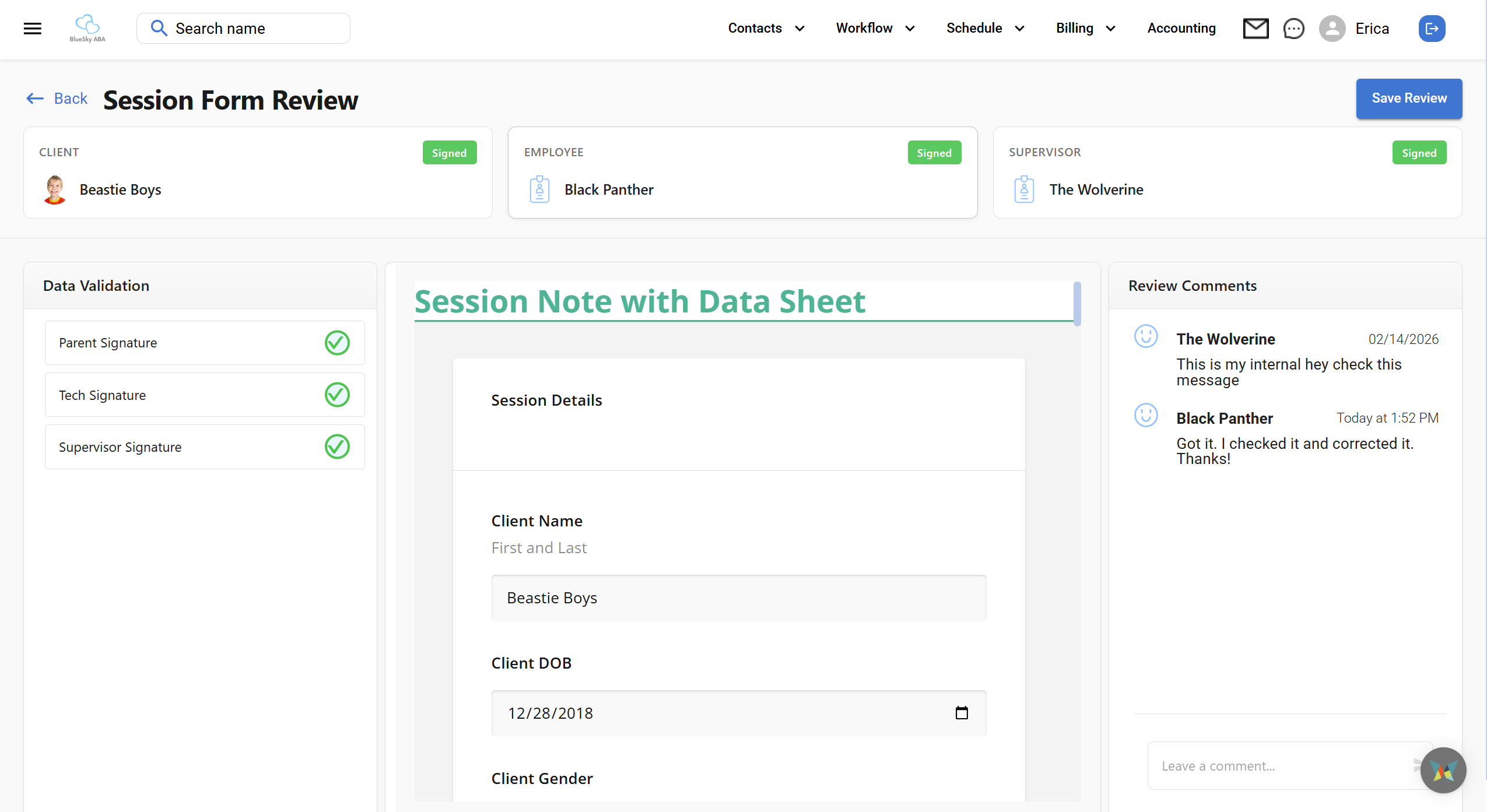 aba session note audit